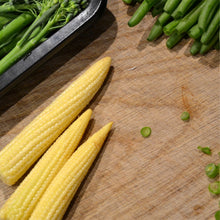 Load image into Gallery viewer, AgroVeggie Box