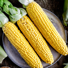 Load image into Gallery viewer, AgroVeggie Box