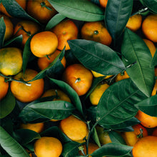 Load image into Gallery viewer, AgroFruit Box
