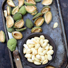 Load image into Gallery viewer, AgroFruit Box
