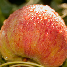 Load image into Gallery viewer, Essential Fruit Box
