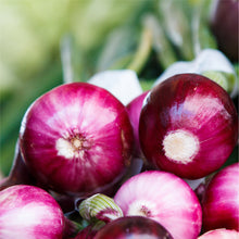 Load image into Gallery viewer, Essential Veggie Box
