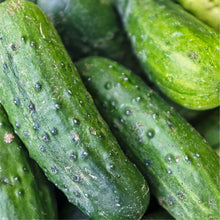 Load image into Gallery viewer, Farmers Veggie Box
